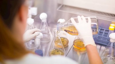Ohly produced labelled yeast extract to unravel its contribution of valuable building blocks to the synthesis of vitamin B2